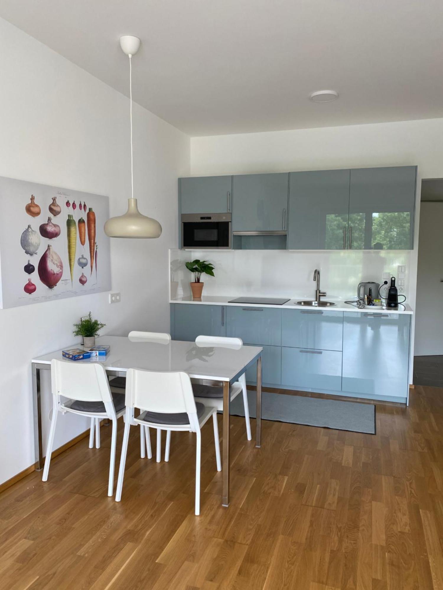 Apartament Ebelsberger Terrassen Linz Zewnętrze zdjęcie